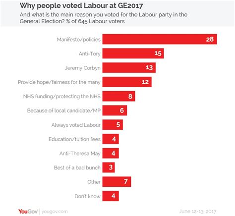 why did not vote for labour